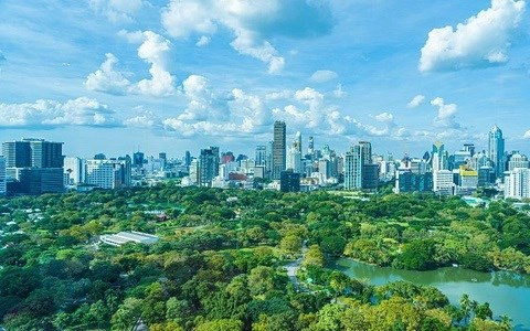 Wood industry has opportunities to increase revenue from carbon credits hinh anh 2