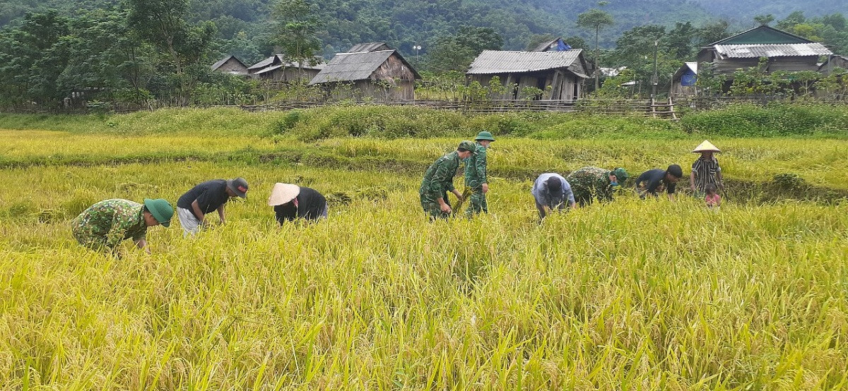 Poverty Rice The May people eradicate hunger and reduce poverty with wet rice