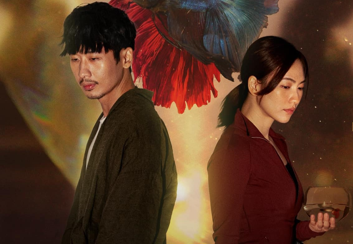 428611427 994478568709079 4658230744985184605 n.jpg