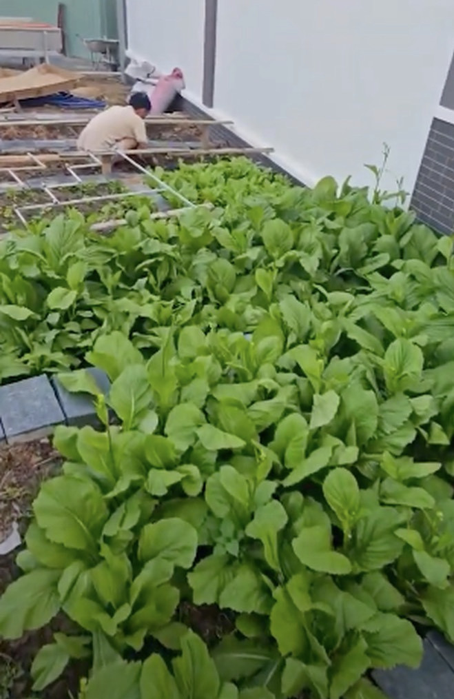 Gallery - Biệt thự mới xây toàn nội thất đắt tiền của Lê Dương Bảo Lâm ở Đồng Nai