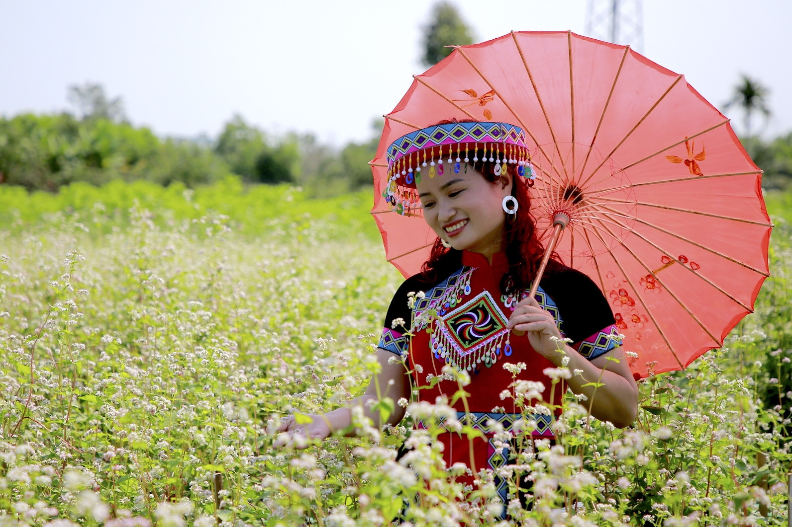 Giới trẻ Quảng Nam thả dáng bên ‘rừng’ tam giác mạch, ngỡ mình lạc đến Hà Giang