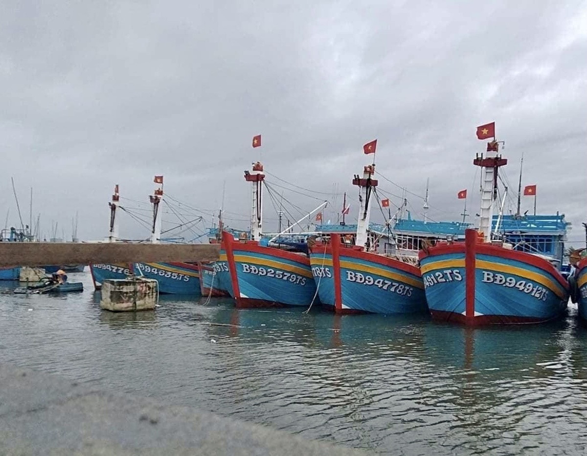 3 gom rac nhua tau ca binh dinh 111 ok.jpg