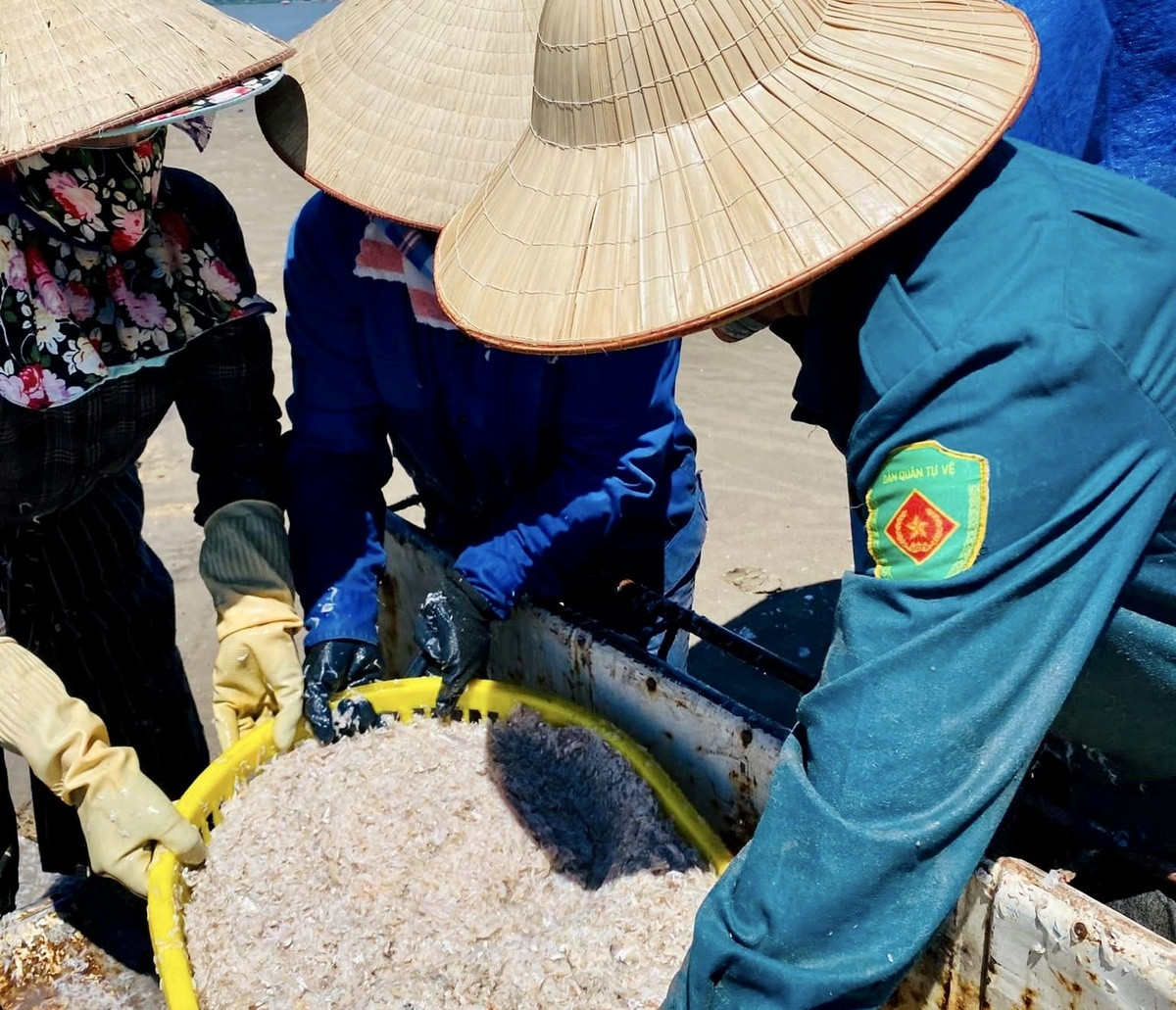 8 hai phong bao ve moi truong che bien hai san ok.jpg