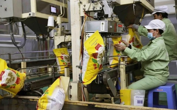 Big opportunities for rice exports in 2024 hinh anh 1