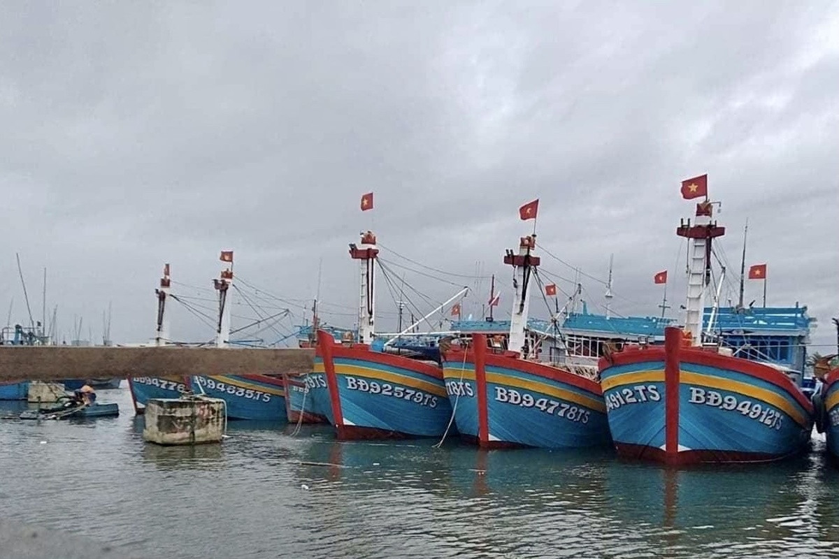 Bình Định quản lý chất thải nhựa từ các hoạt động thủy sản