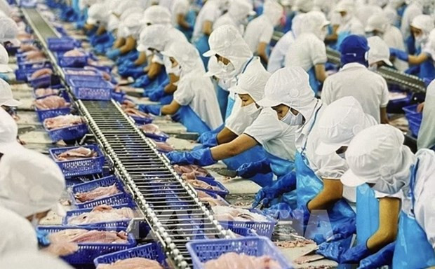 Exports by FDI, domestic sectors expected to rebound: official hinh anh 1