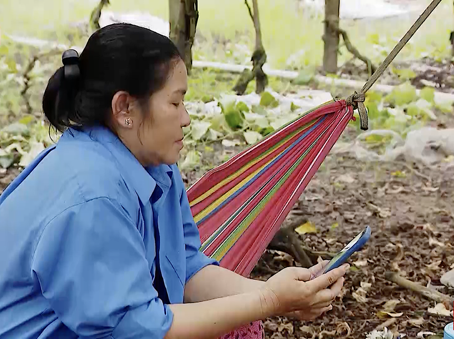 Nhờ chuyển đổi số mô hình hợp tác xã ứng dụng công nghệ 4.0 phục vụ công tác quản lý, điều hành hoạt động sản xuất kinh doanh, 5 mô hình khởi nghiệp hợp tác xã nông nghiệp ứng dụng công nghệ cao... đang ngày càng lan toả.