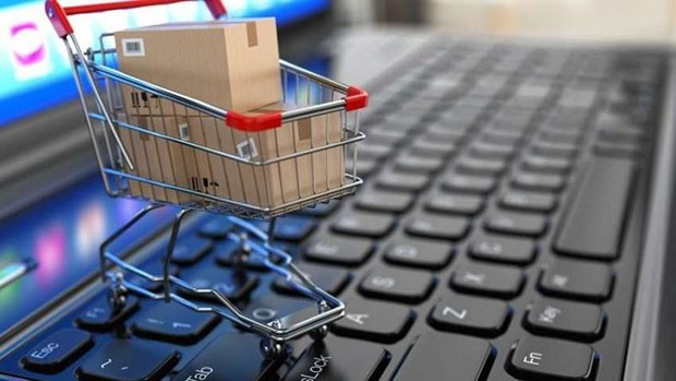 Online B2C retail predicted to continue booming hinh anh 1