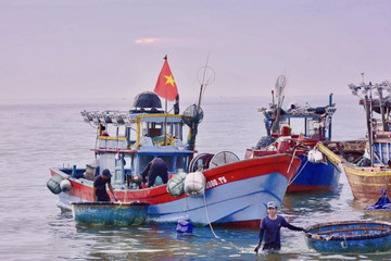 Quảng Bình triển khai mô hình thu gom rác thải nhựa trên tàu cá xa bờ