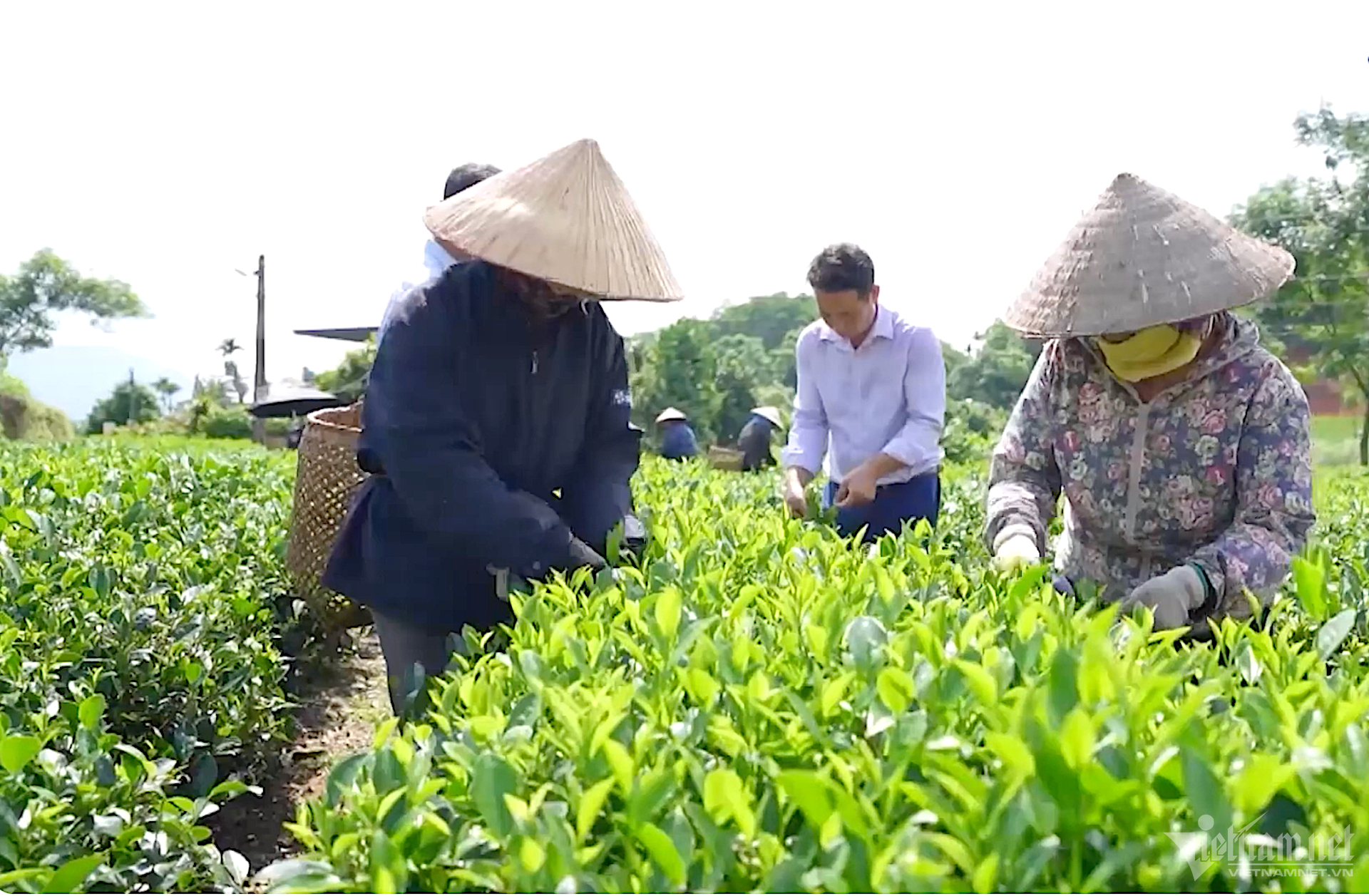 Từ những nguồn lực hỗ trợ này, nhiều chị em đã tích cực, gương mẫu trong thực hiện các phong trào, cuộc vận động tại địa phương; thi đua sản xuất - kinh doanh.