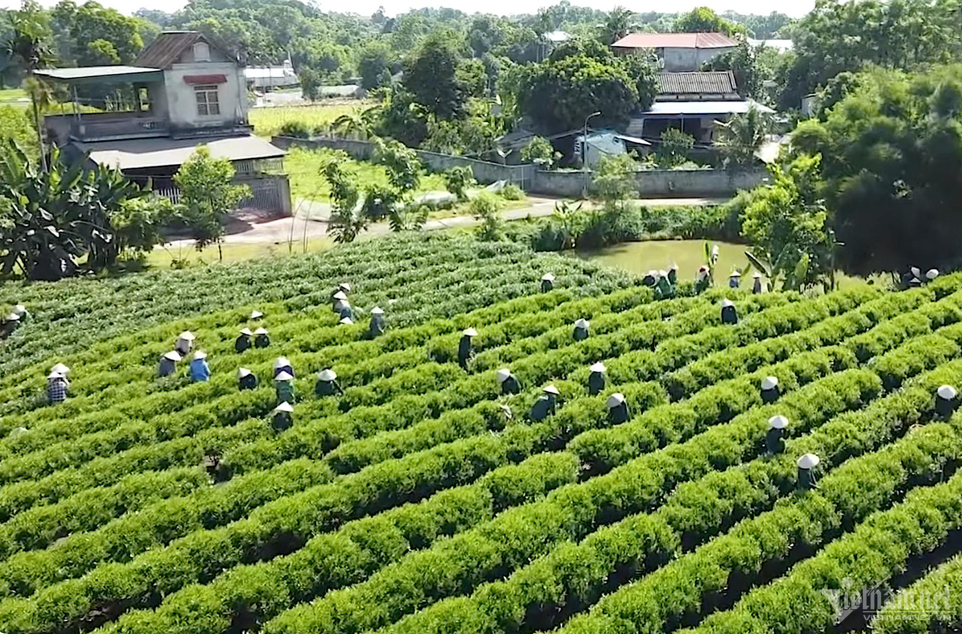 Thời gian qua Hội Liên hiệp Phụ nữ huyện Định Hóa đã tích cực triển khai hỗ trợ mô hình tổ, nhóm sinh kế ứng dụng công nghệ 4.0 trong sản xuất và kết nối thị trường.