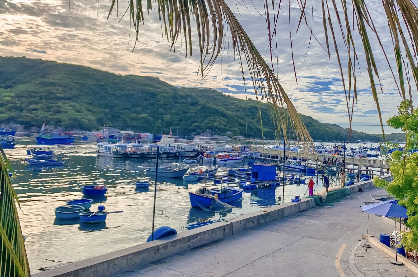 11 ninh thuan dien gio du lich.jpg