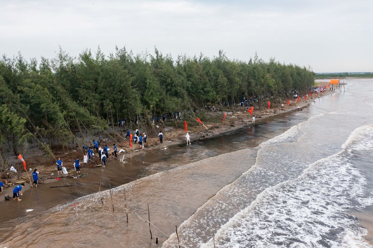 17 chi tra dich vu moi truong rung ngap man.jpg