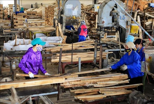 Stable material areas needed for sustainable wood industry: insiders hinh anh 1