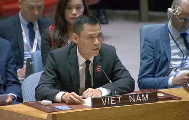 Vietnam continues call for ceasefire in Gaza Strip hinh anh 1