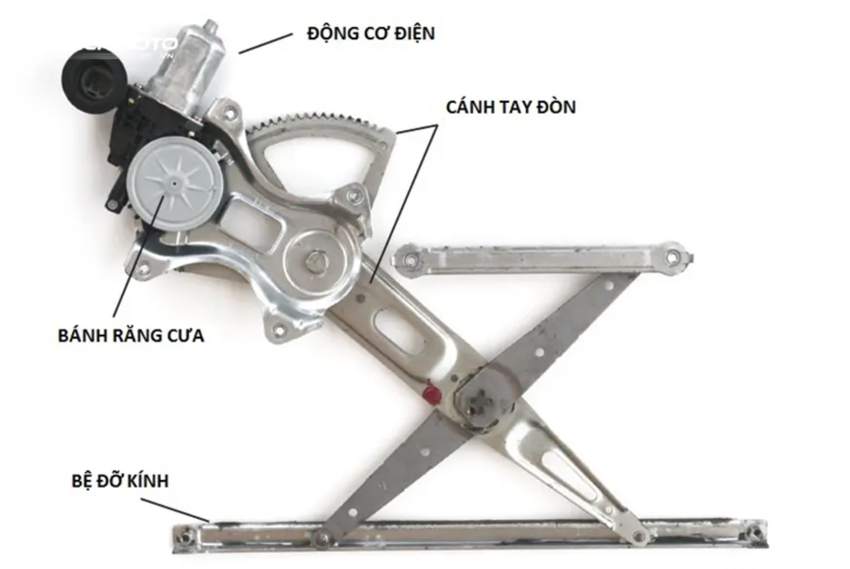 anh chup man hinh 2024 03 07 luc 203419.png