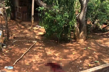 Người đàn ông ở Bình Phước sát hại chị dâu, chém đứt lìa tay anh trai