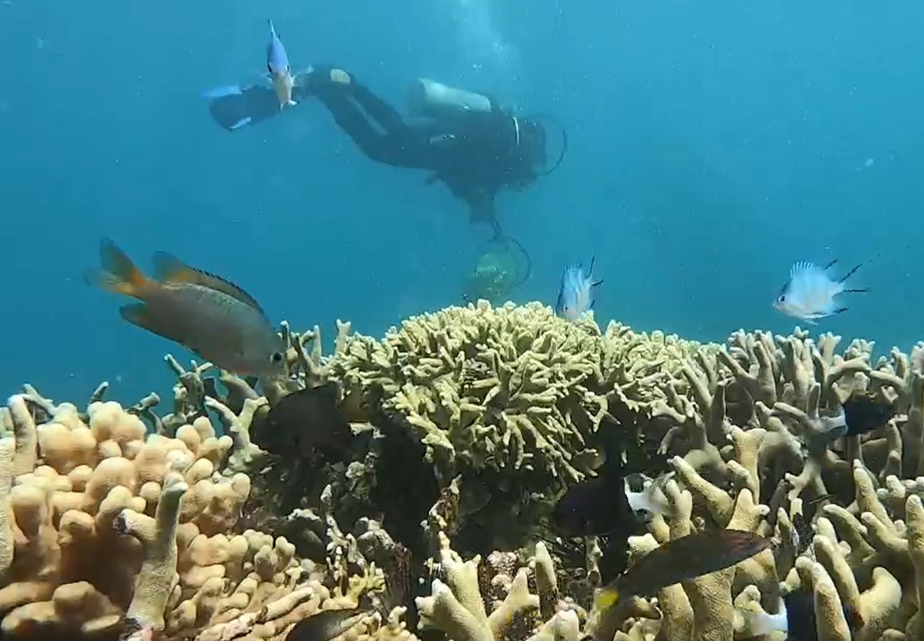 san ho vinh nha trang.jpg