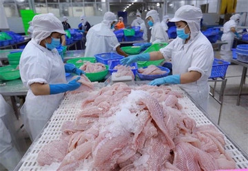 VN’s seafood exports can reach $9.5 billion in 2024