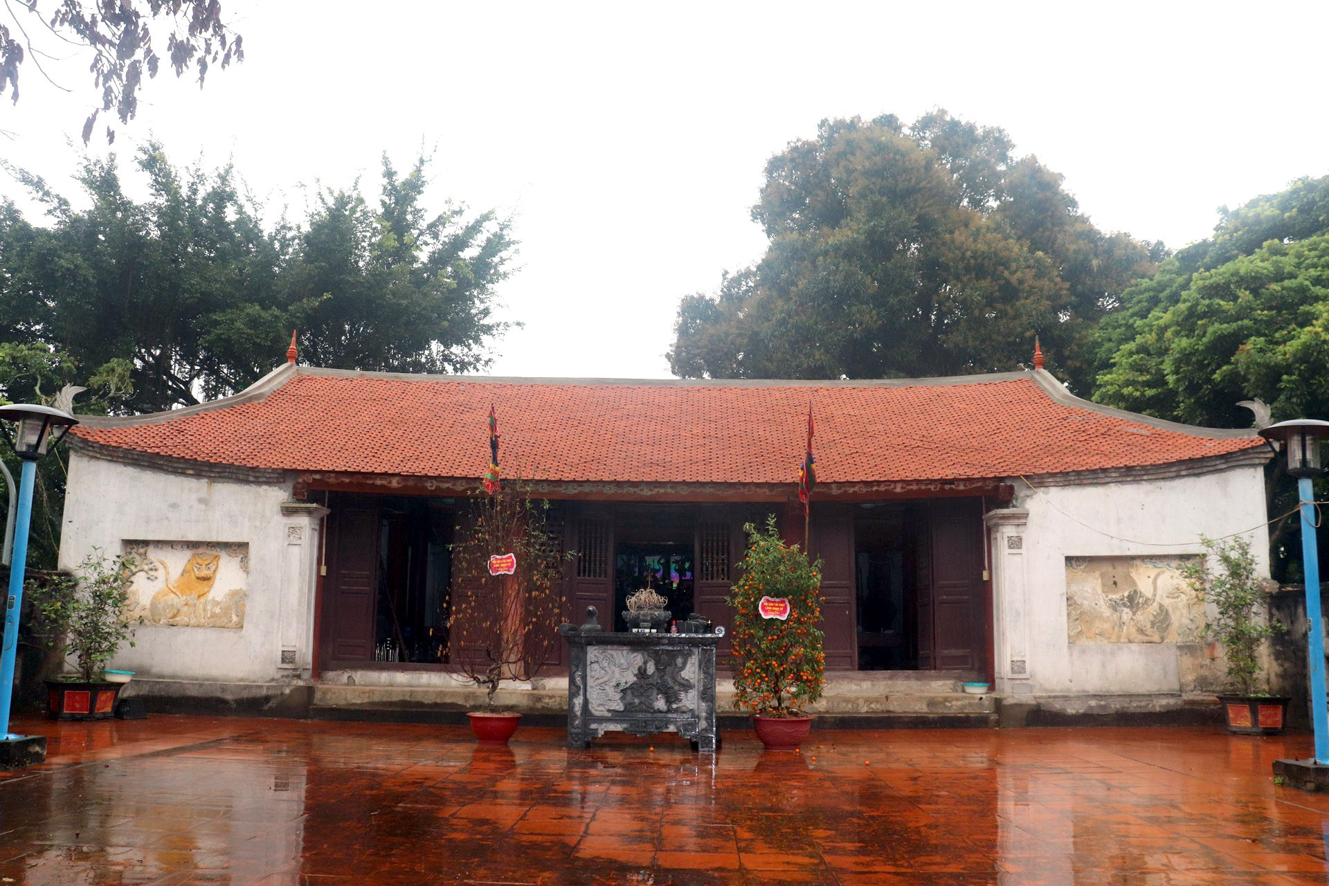 z5202526987437 f5f64ba2dfb8bef2df0e510af1ca5295.jpg