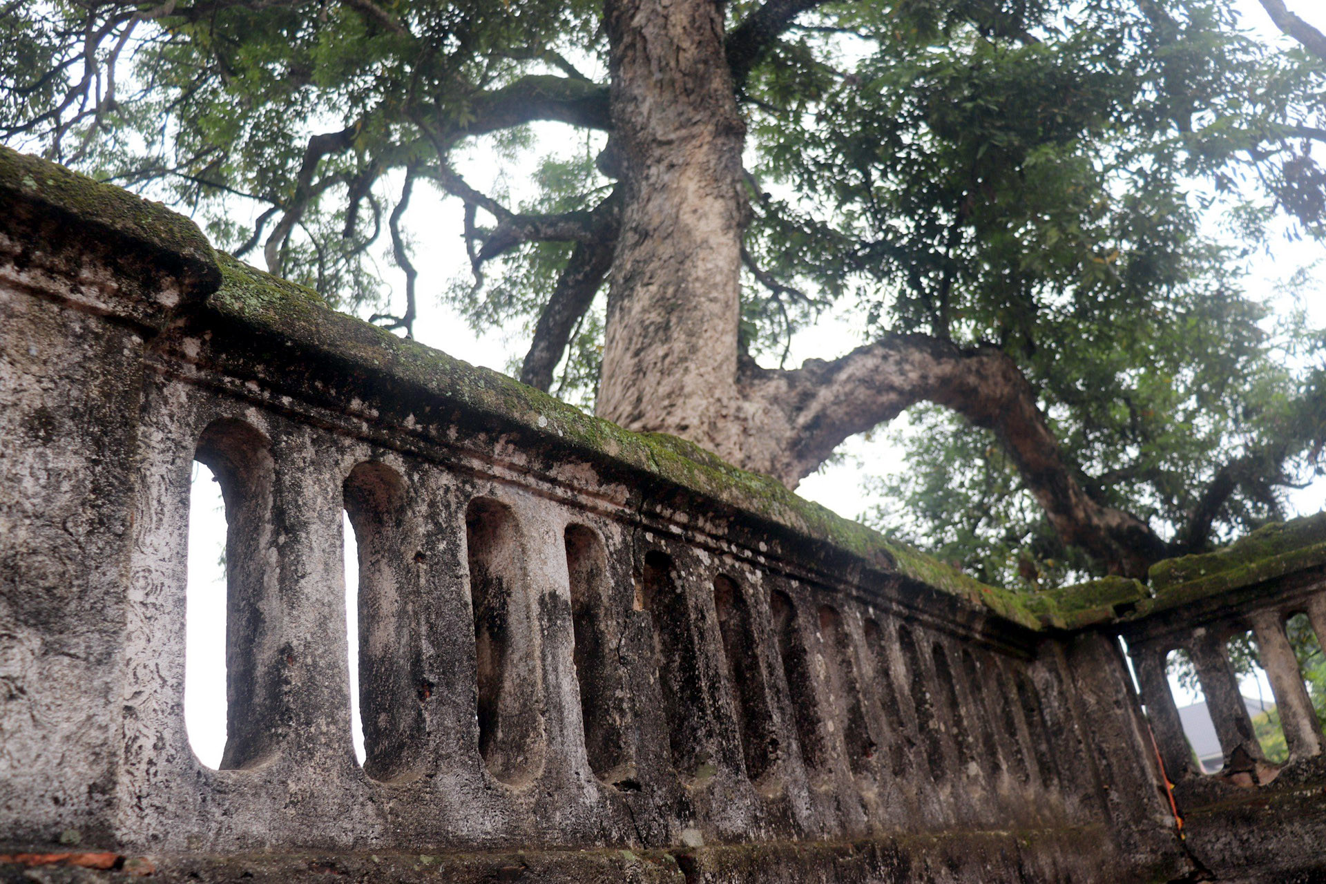 z5202527080600 864599dd556a13c026d6377b5a71e27b.jpg