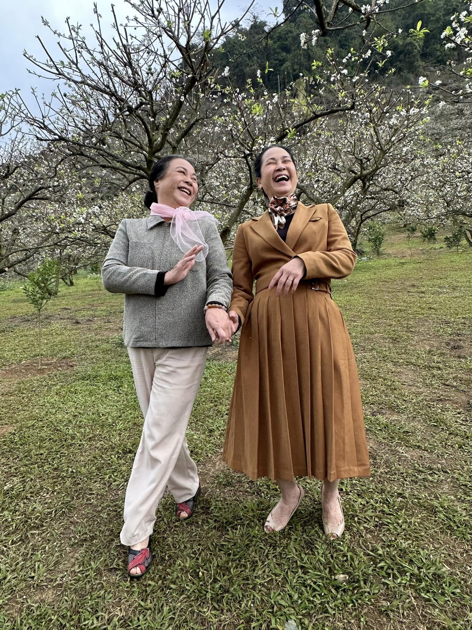 423133470 3013632425438139 1357583711564716089 n.jpg