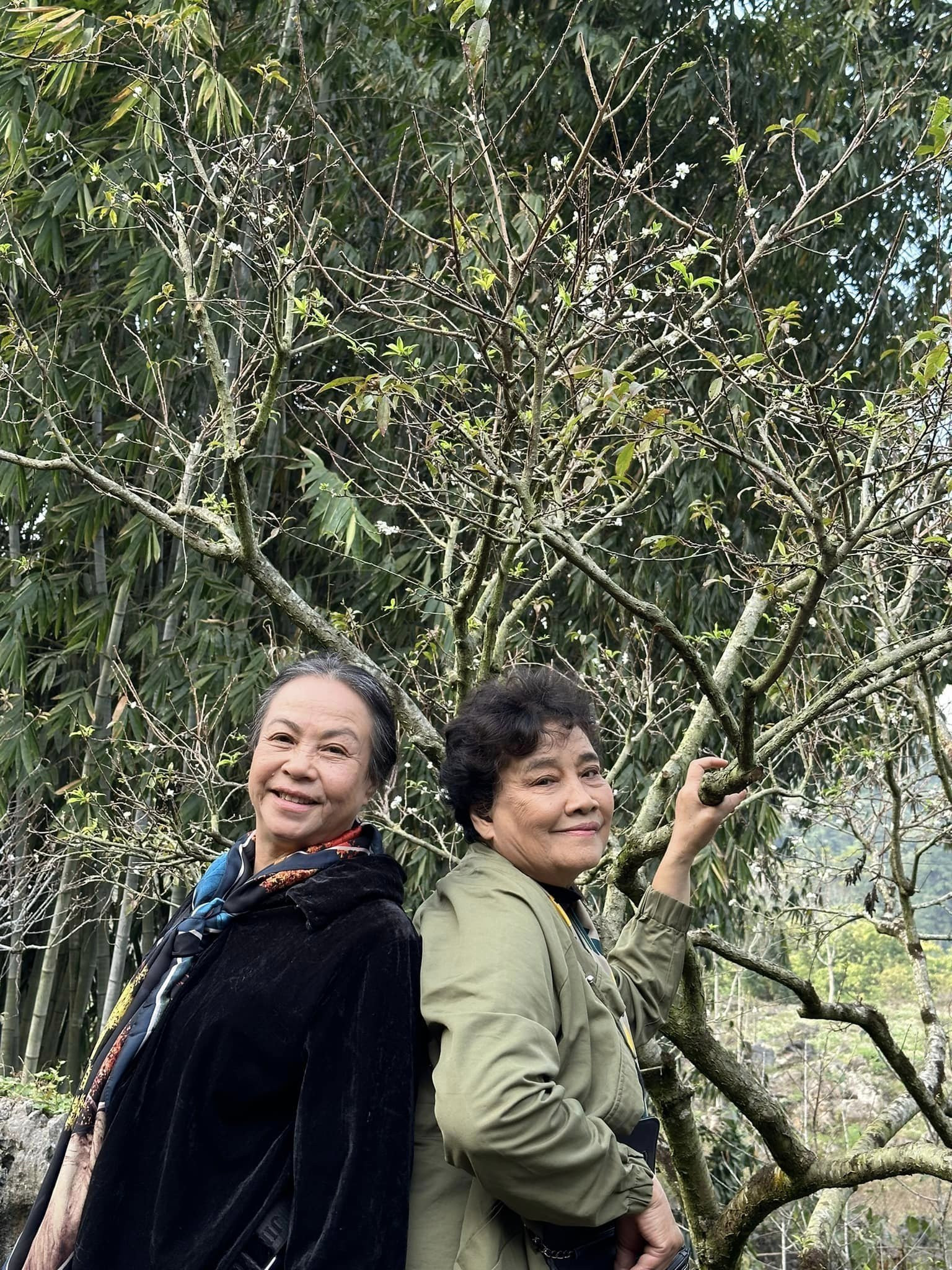 423160210 3013632458771469 83884182482235258 n.jpg