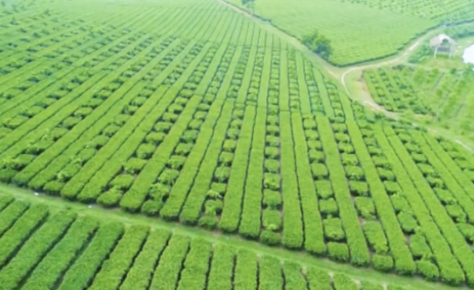 anh man hinh 2024 03 03 luc 090103.png