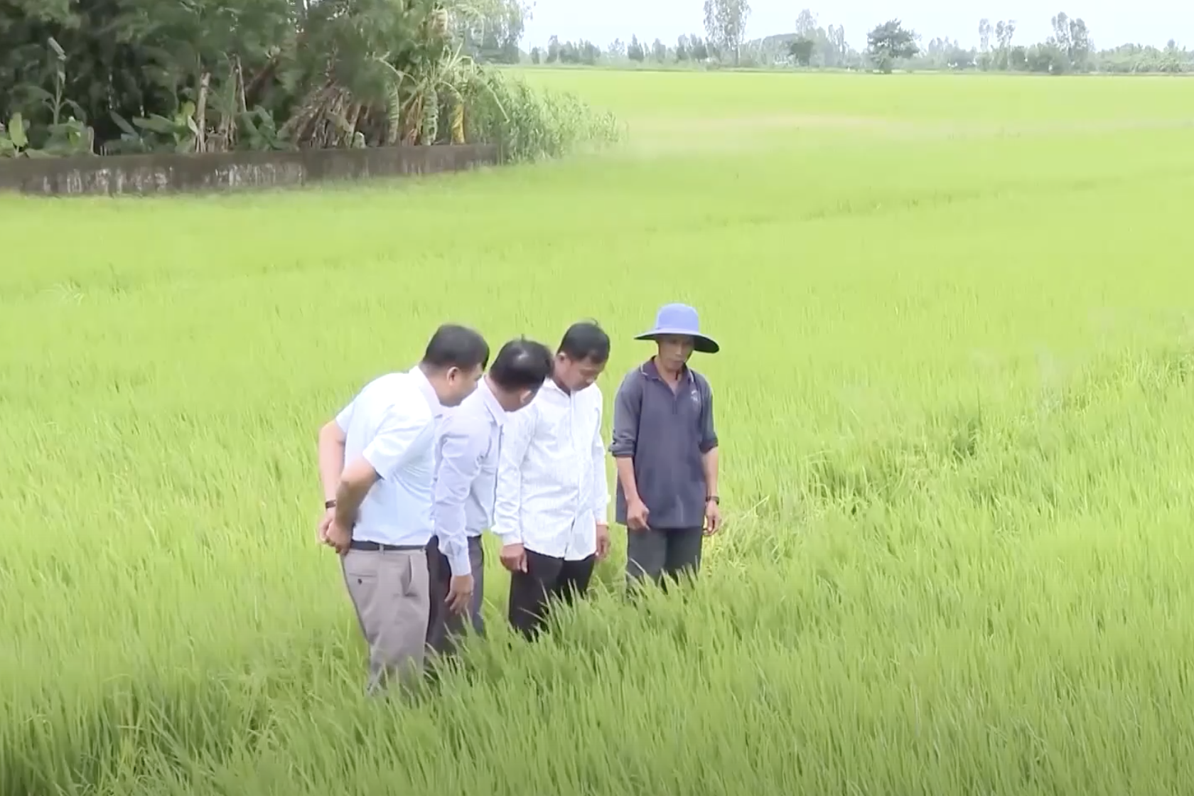 Cần Thơ: Đồng bào dân tộc thiểu số chủ động thoát nghèo, vươn lên làm giàu
