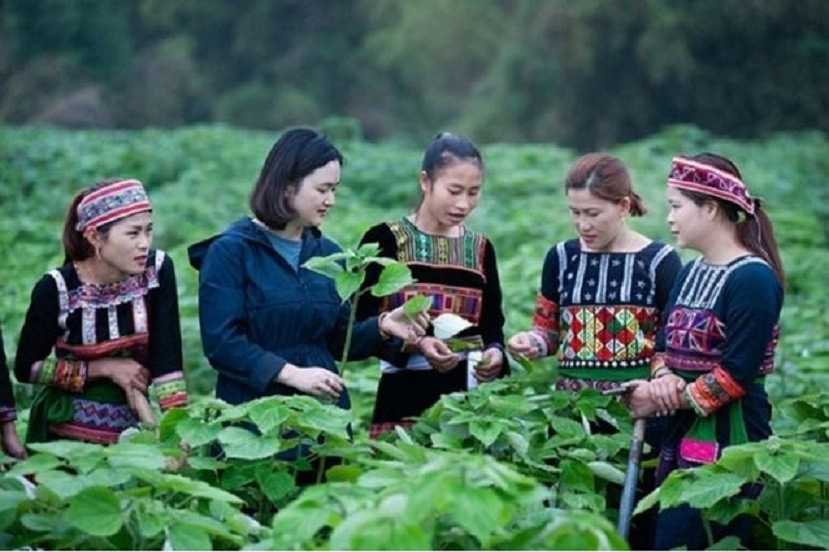 capturelao cai.jpg