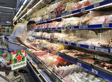 Vietnam imports meat, meat products from 37 markets