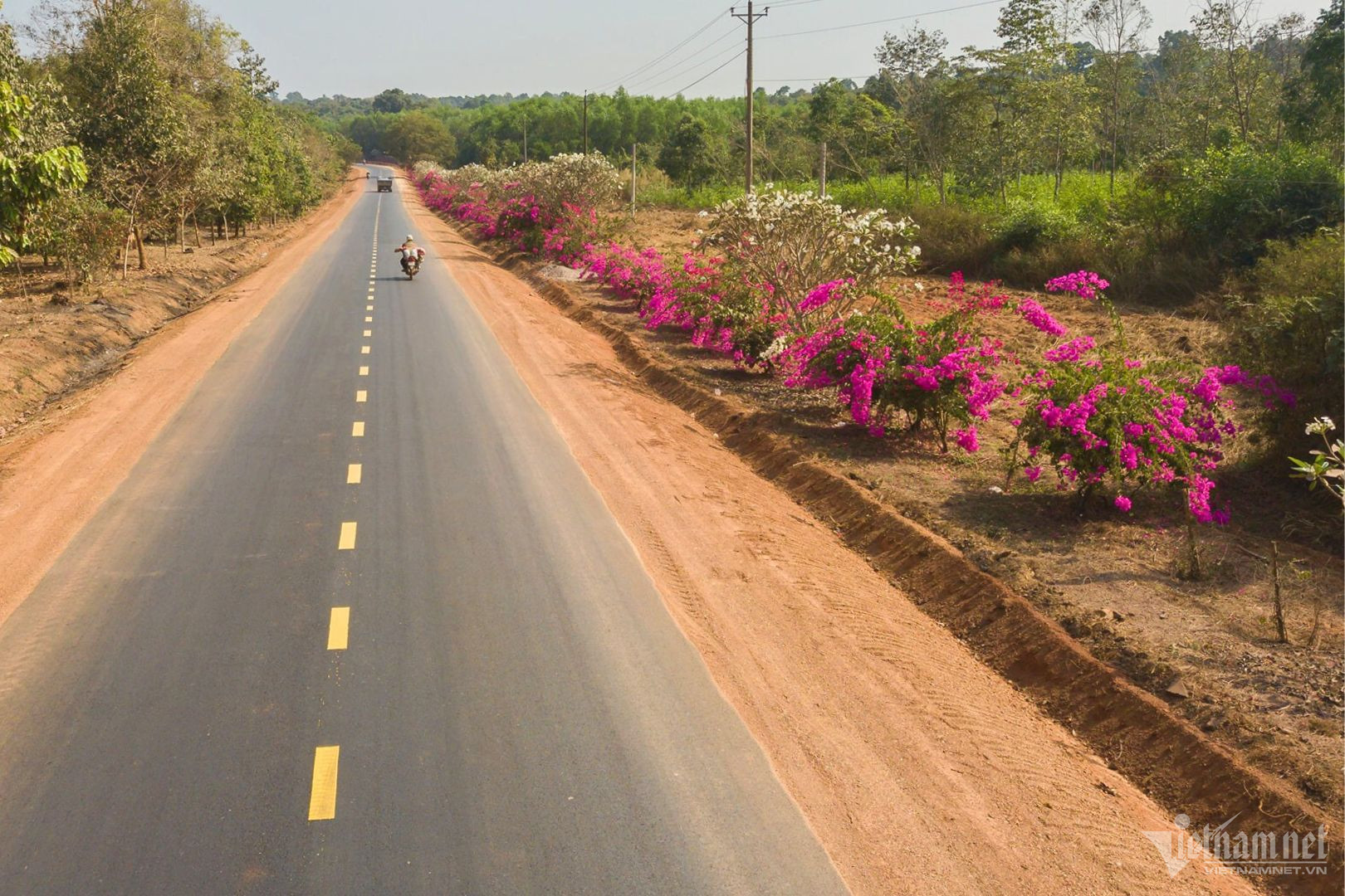 View - Bí ẩn con đường hoa giấy dài 25km giữa đại ngàn ở Đồng Nai