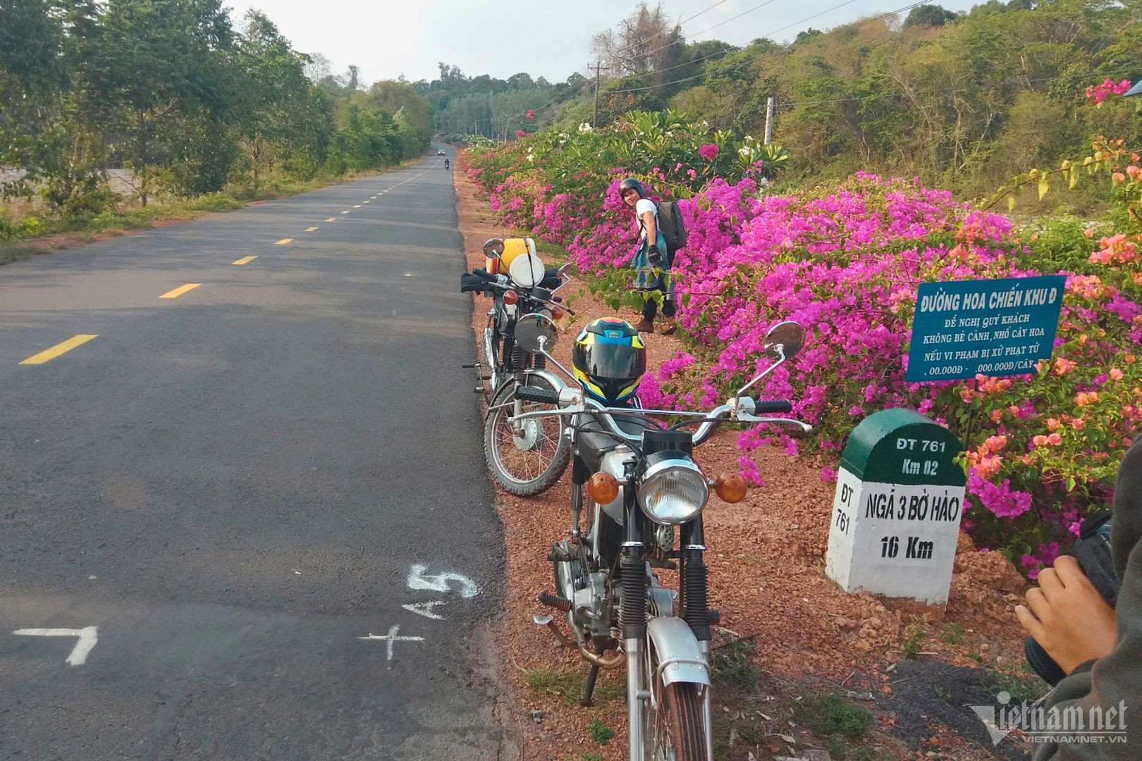 View - Bí ẩn con đường hoa giấy dài 25km giữa đại ngàn ở Đồng Nai