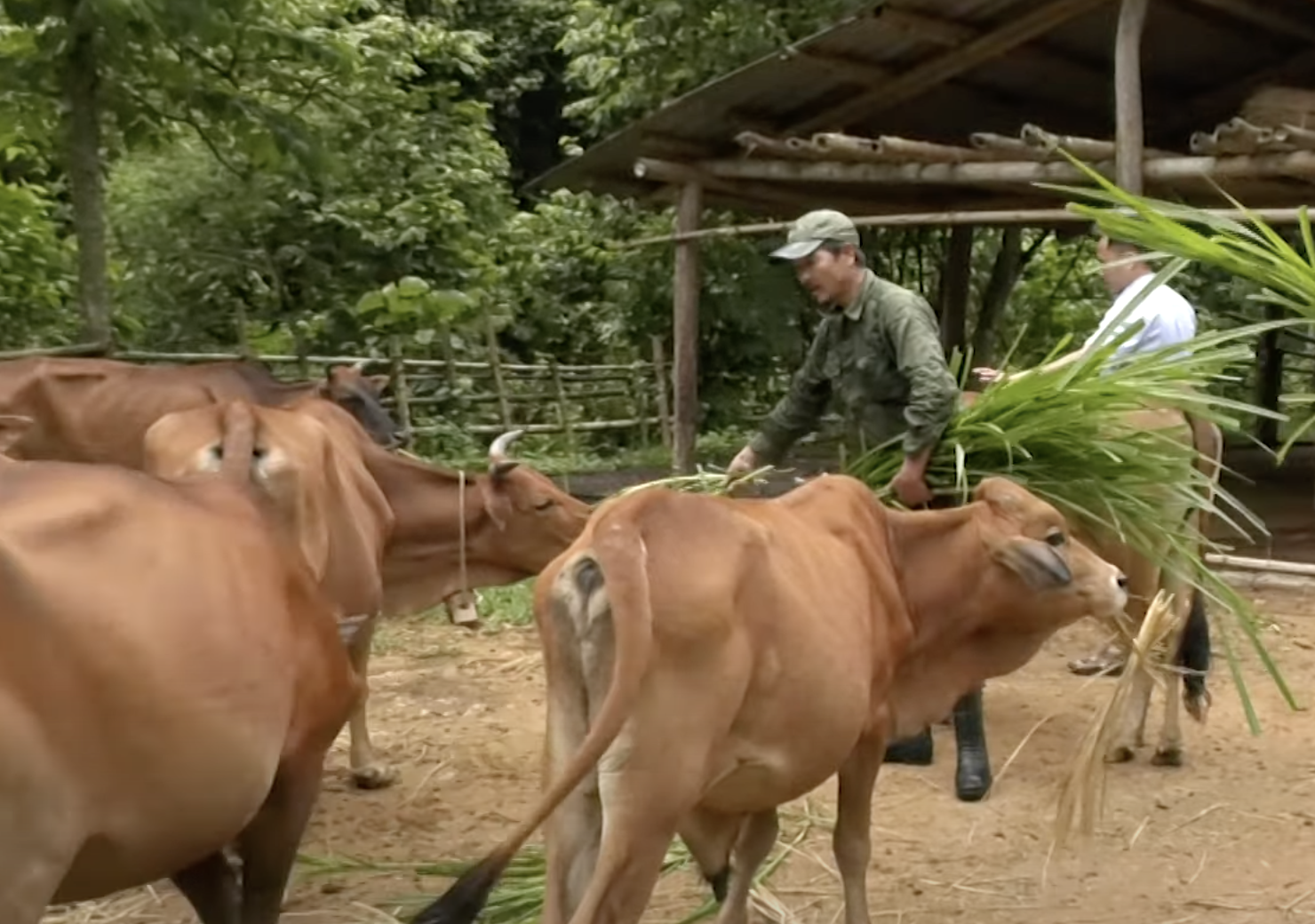 anh man hinh 2024 02 18 luc 144816.png