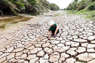 Drought & salinity damages result in $2.82bil. in agricultural losses