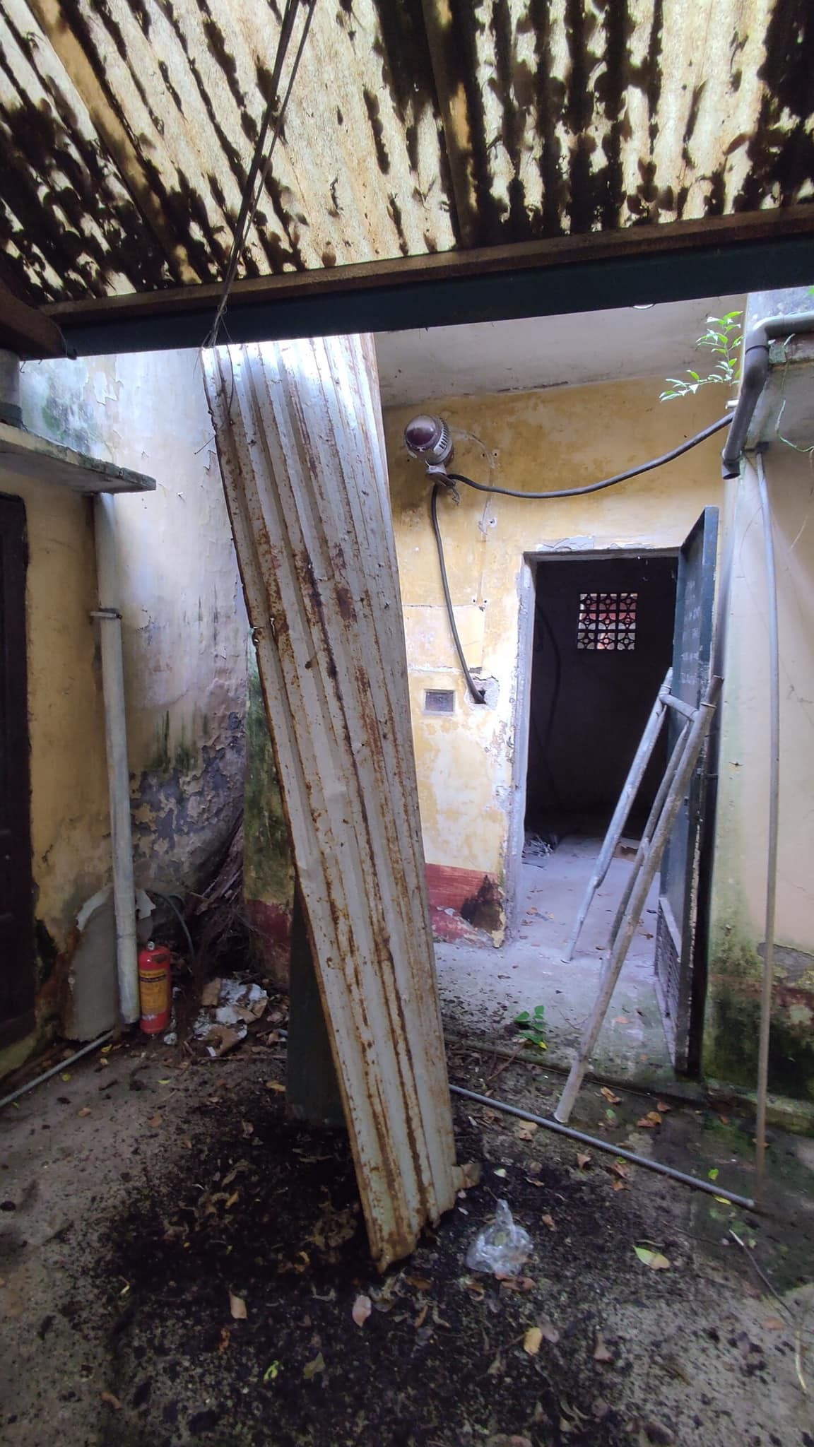 Tình trạng của Hãng phim truyện Việt Nam trước khi Chủ tịch bị hoãn xuất cảnh ảnh 3