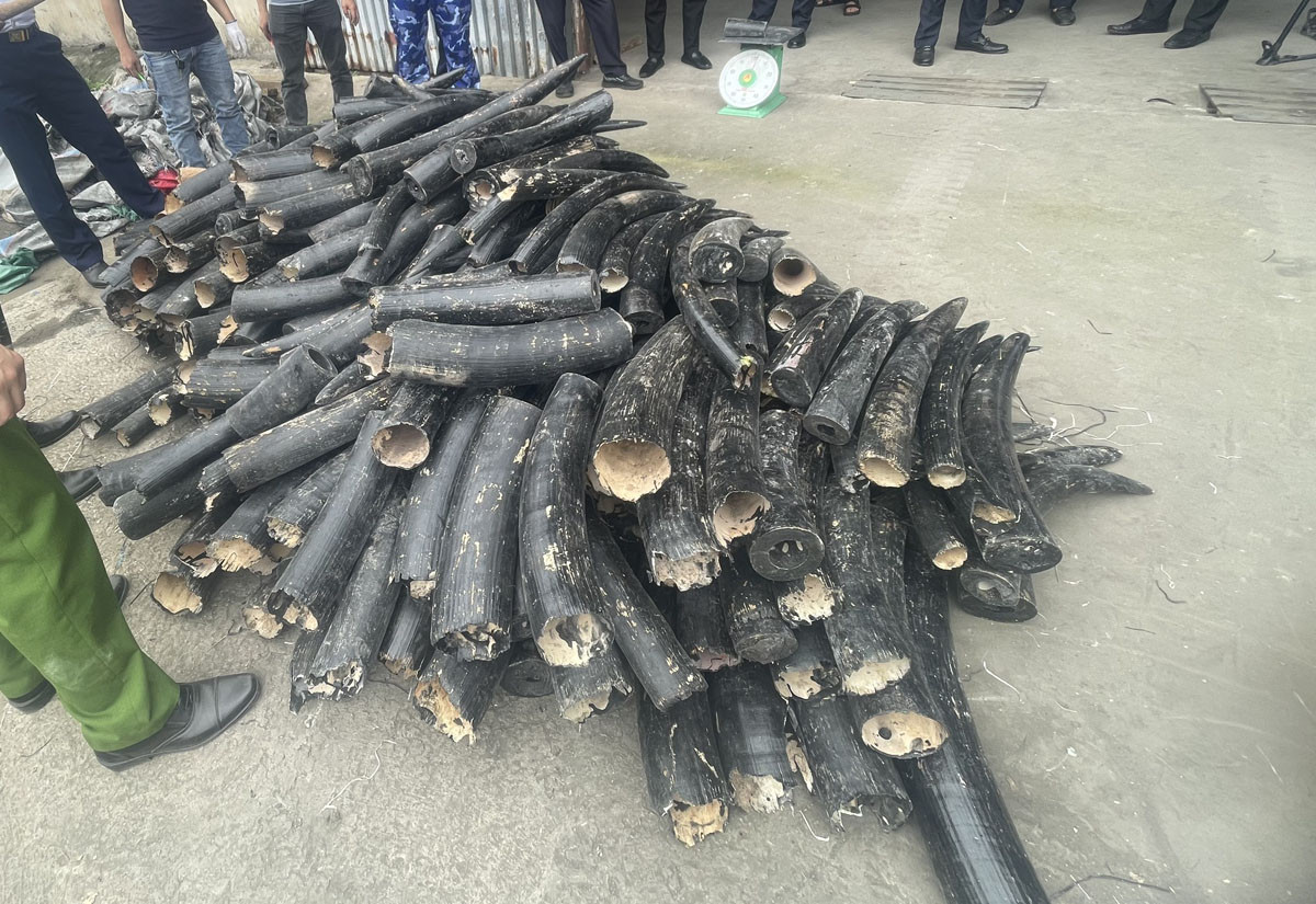 z5306081488275 50d88fd1ca766826119017b56caadb58.jpg