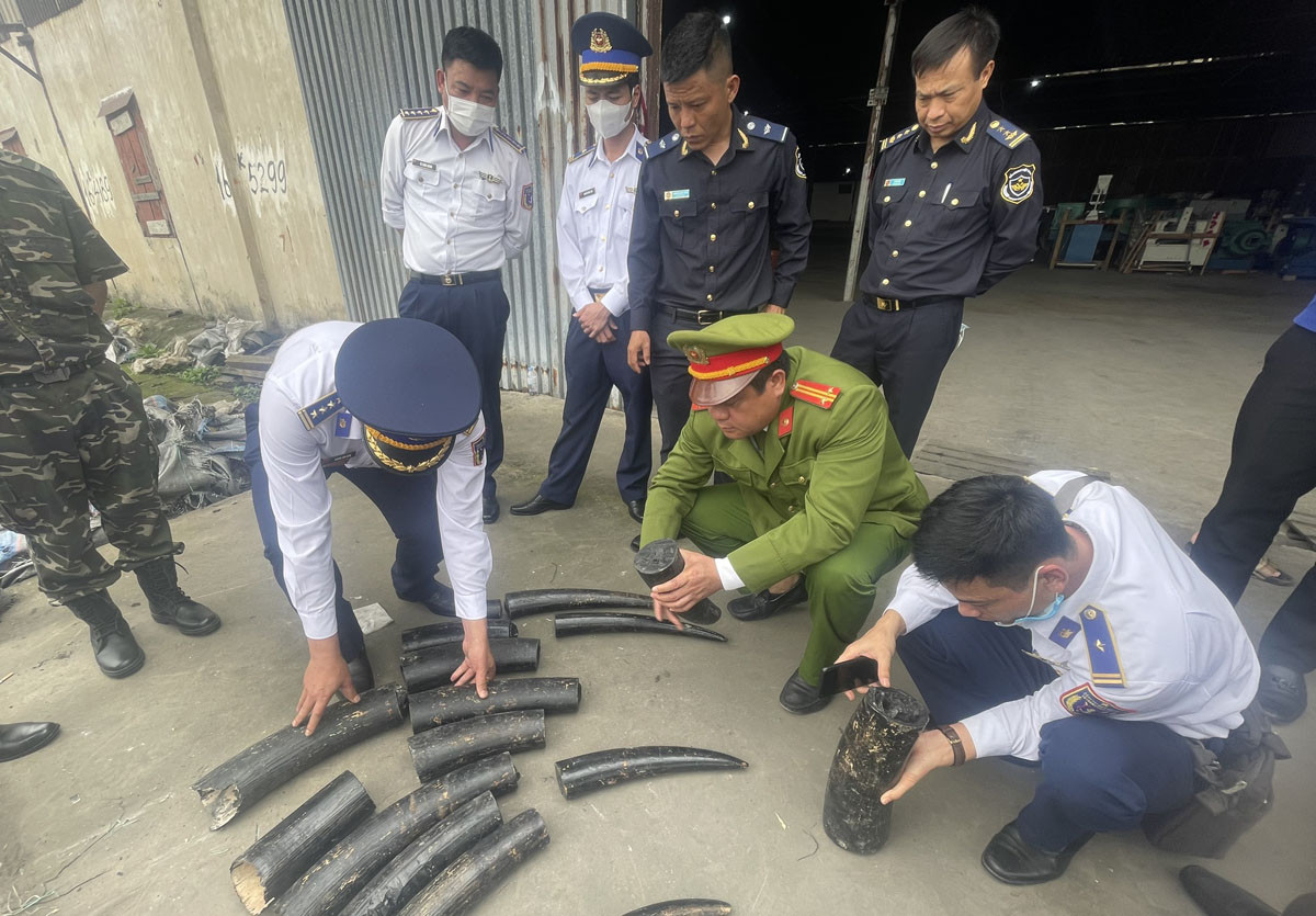 z5306082142985 923b4fc5669717767f5b92de89fa4b45.jpg