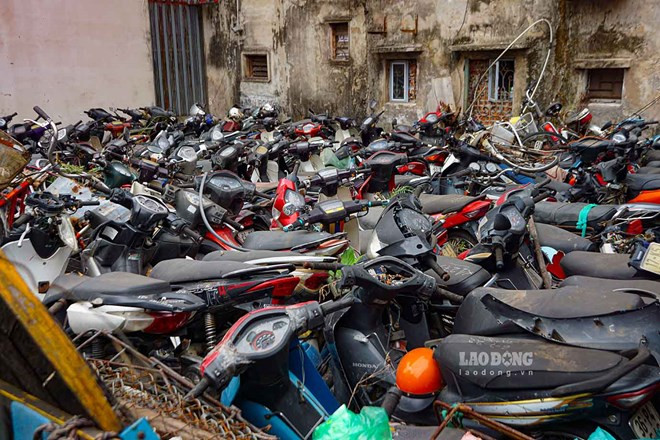 vi pham giao thong.jpeg