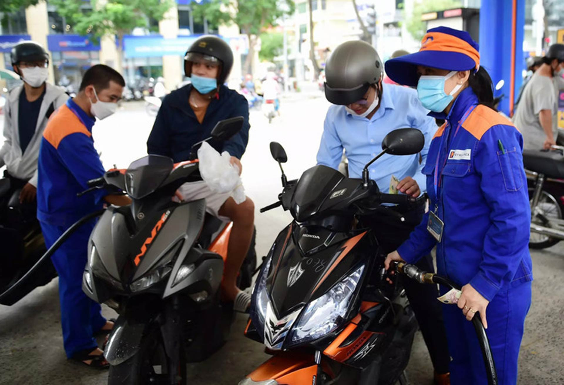 xang dau thanh tung.jpg