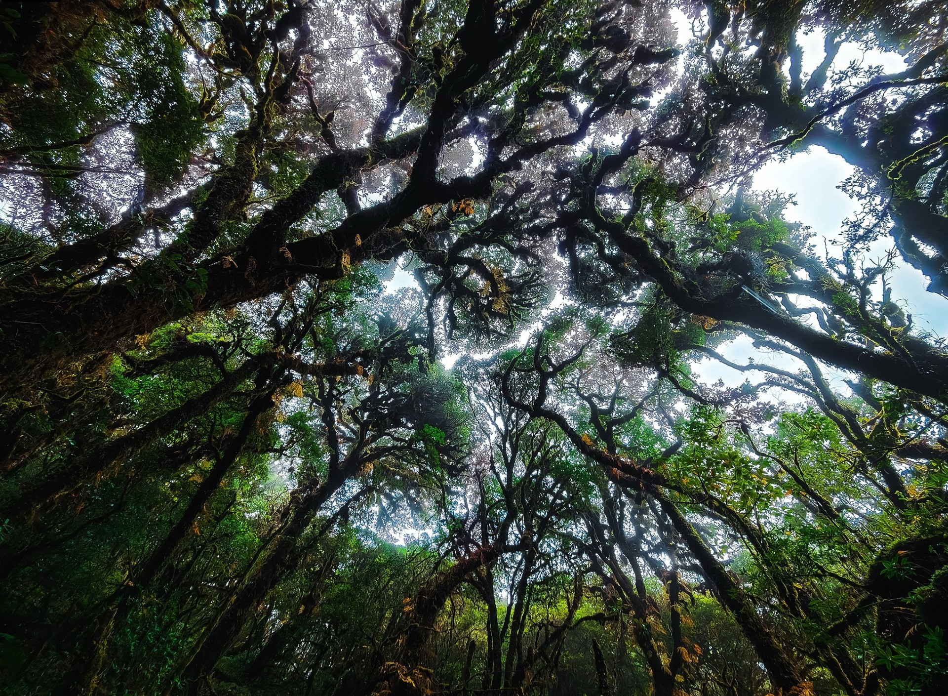 406866573 2730647877119269 7913028945294981548 n.jpg