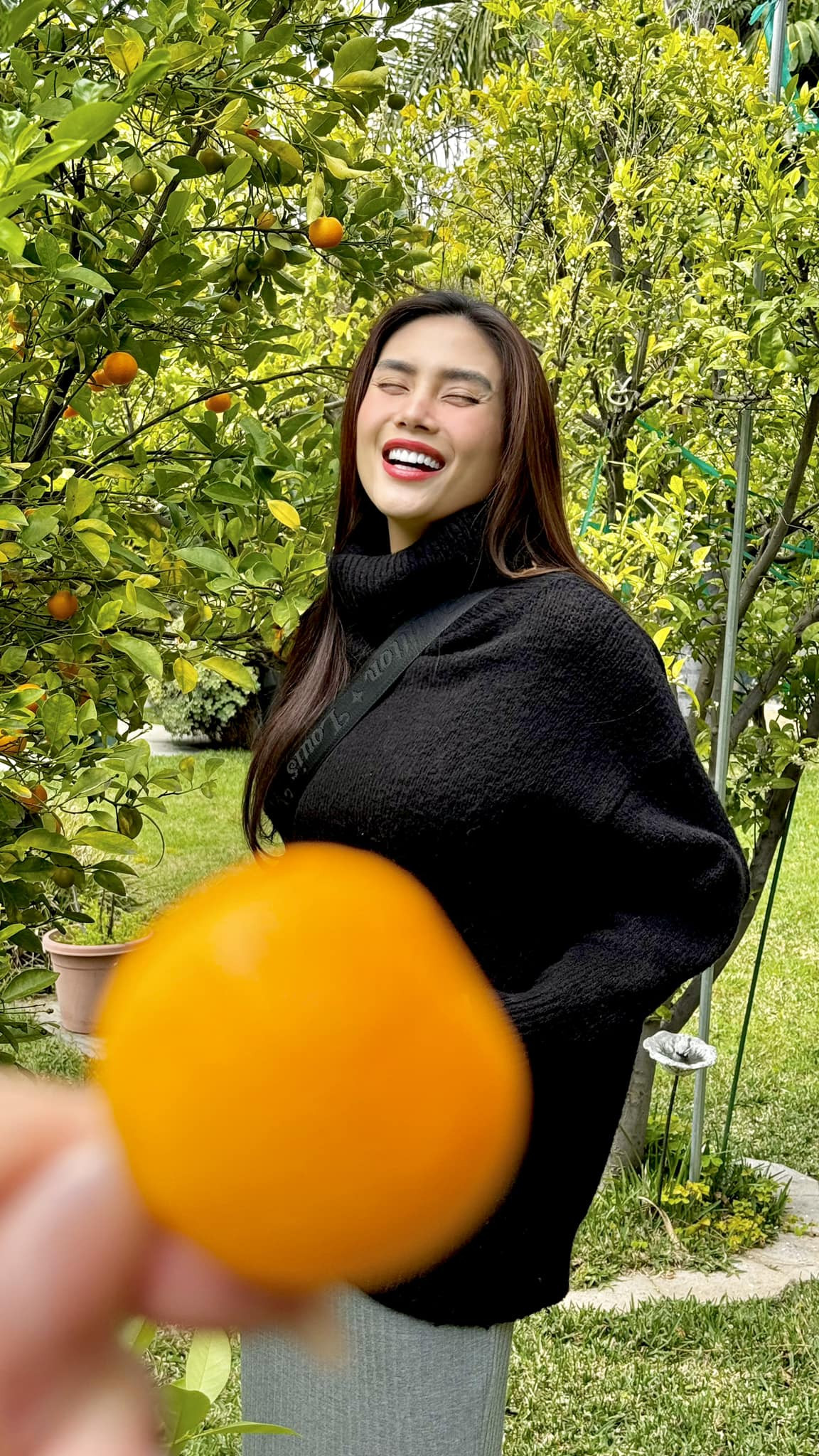 435538191 3758027697770930 4169168451198028500 n.jpg