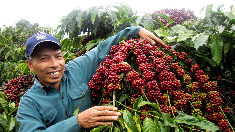 coffee hoangminh.jpg