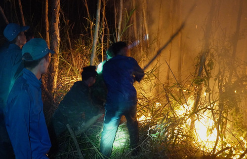 Đã khống chế được cháy rừng ở Cà Mau