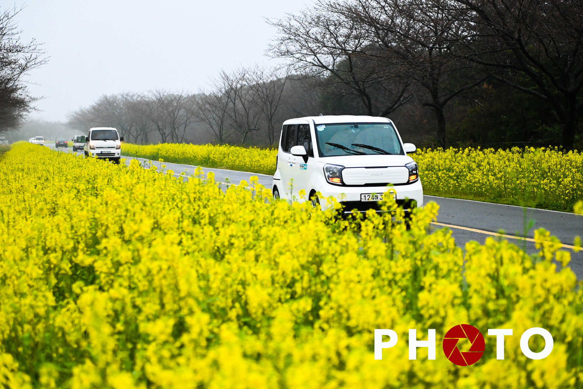 Thời khắc giao mùa tuyệt đẹp ở thành phố đảo được mệnh danh là 'chốn thần tiên'