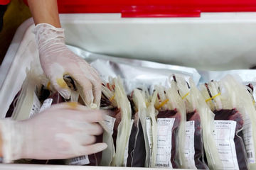 Cần đặc biệt quan tâm ứng dụng chuyển đổi số y tế vào quản lý dịch vụ máu