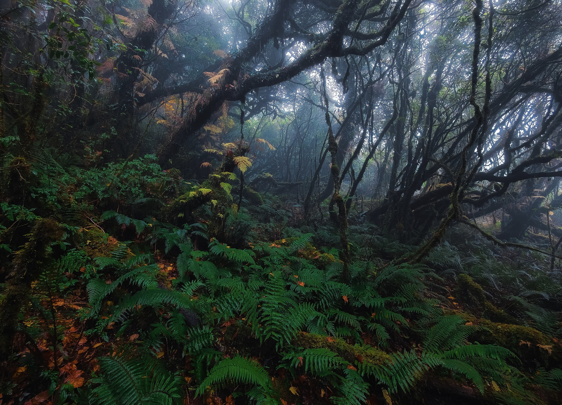 img 20240328 232152.jpg