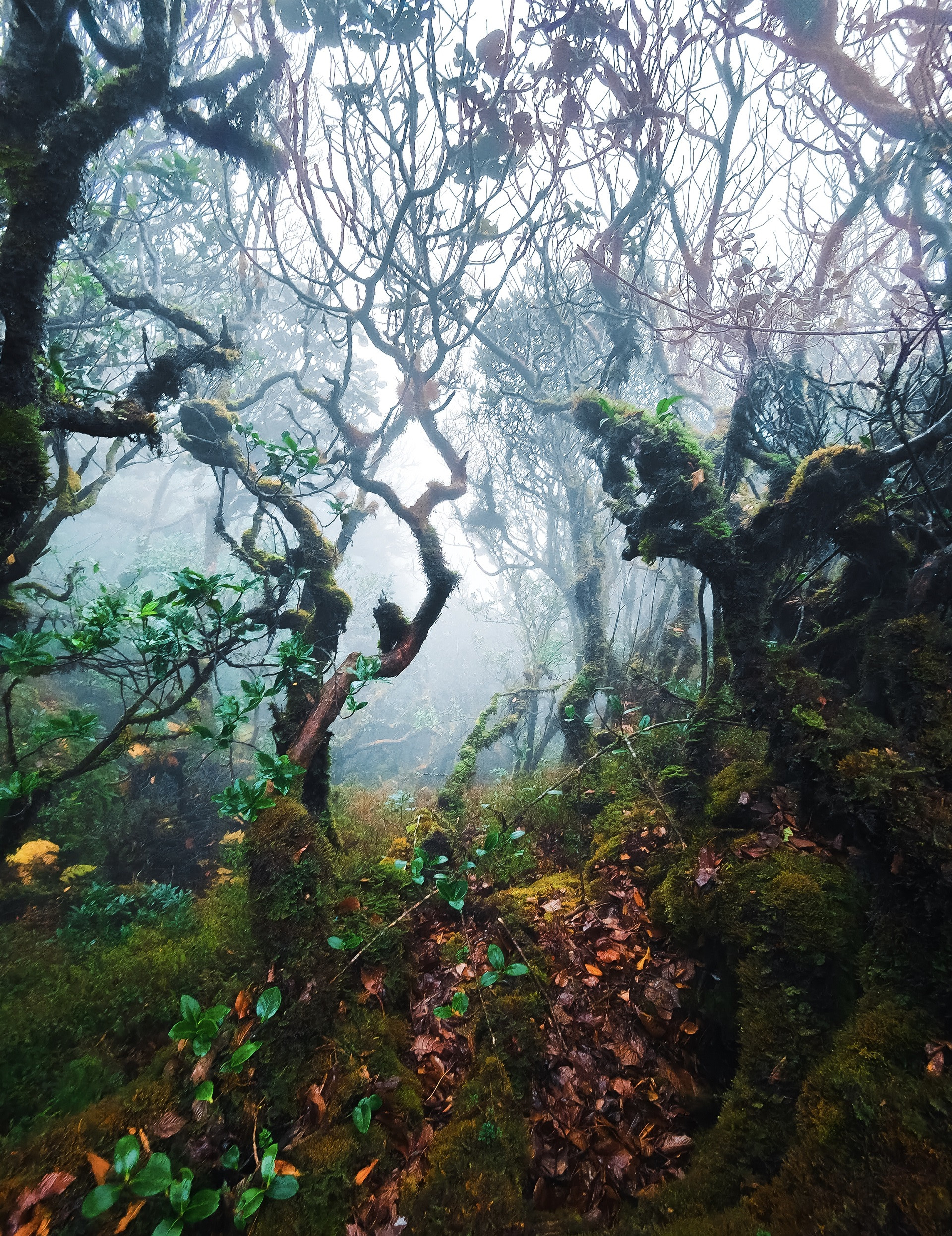 img 20240328 232207.jpg