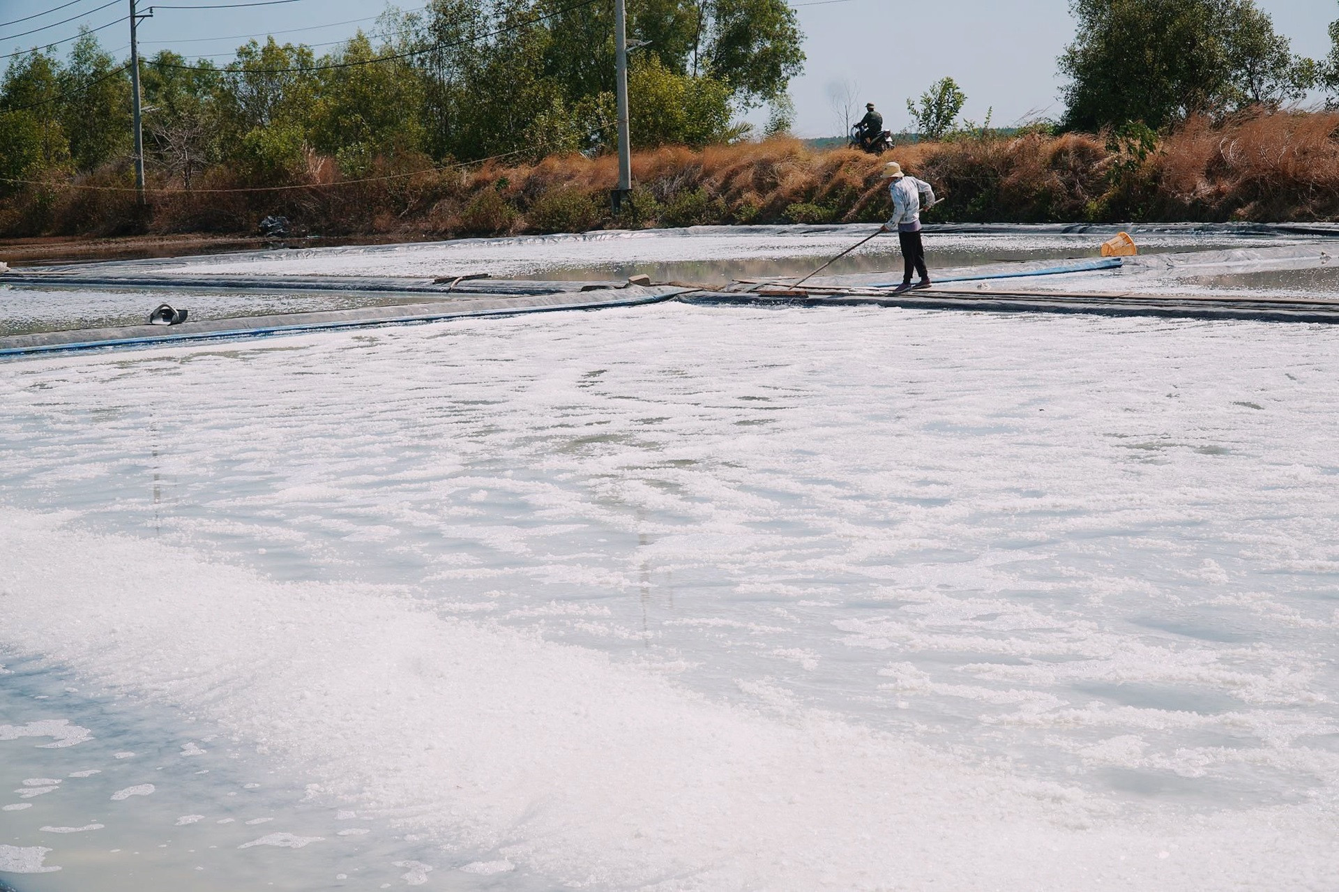 mot ruong muoi tren dao thieng lieng.jpg