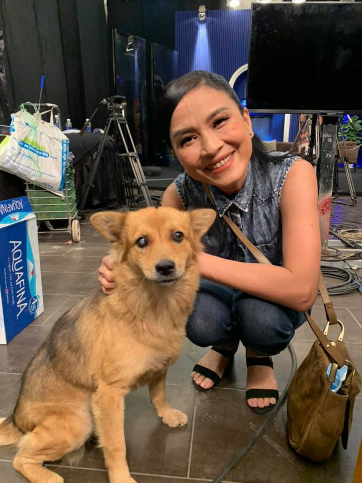 Nữ chính 'Cô gái xấu xí': Mỹ nhân Sài thành nức tiếng, tuổi xế chiều kín tiếng sau biến cố tai nạn và bệnh tật - Ảnh 9.